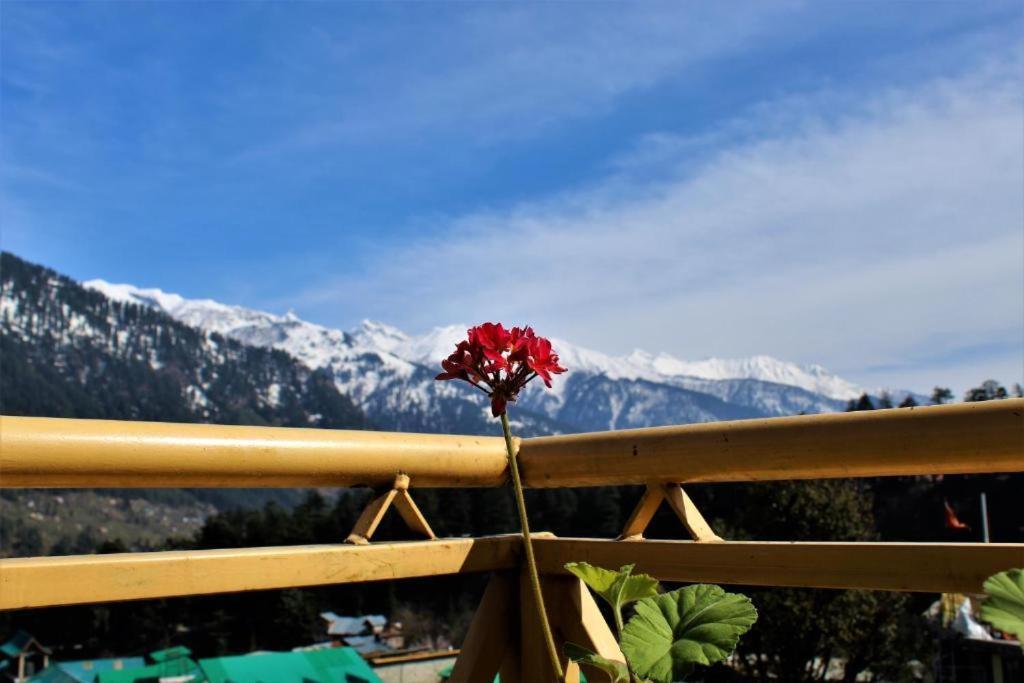 Upclimb Longstay For Bus Or Taxi Only Guests Manāli Exteriör bild